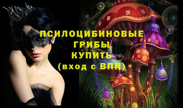 2c-b Абдулино