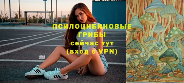 2c-b Абдулино