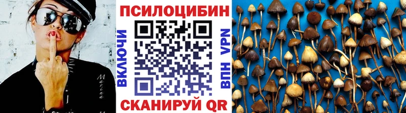 Галлюциногенные грибы MAGIC MUSHROOMS  Холмск 